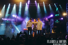 FS_javieramena_salamandra_1193_2020.02.14