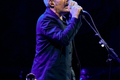 FS_tindersticks_palau_0384_02.25