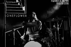 FS_boneflower_0071_2022.09.16