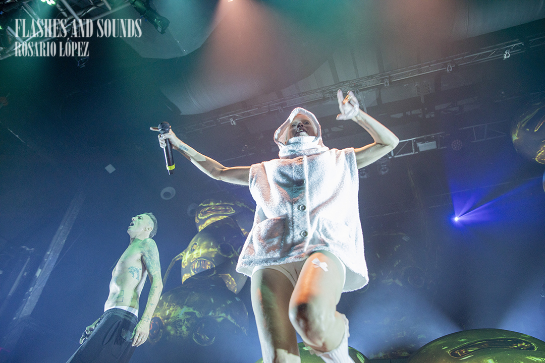 FS_Die-Antwoord_918_12100