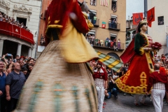 DSC2806