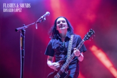 FS_5_PLACEBO_7395